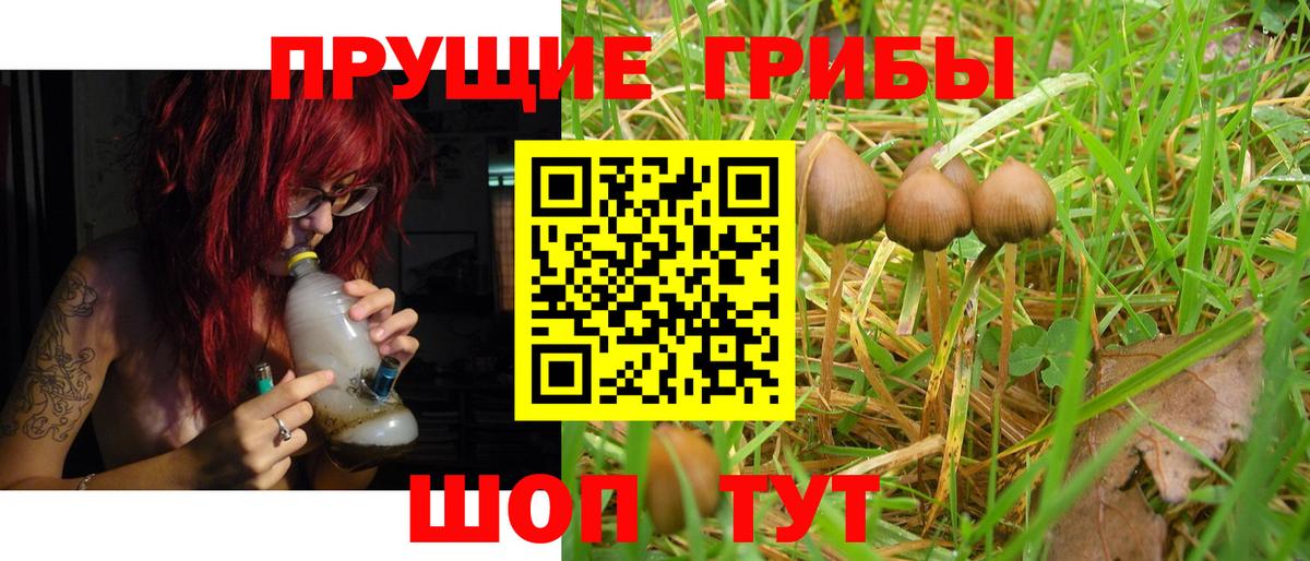 Псилоцибиновые грибы Psilocybine cubensis  Вход с VPN  Магнитогорск 